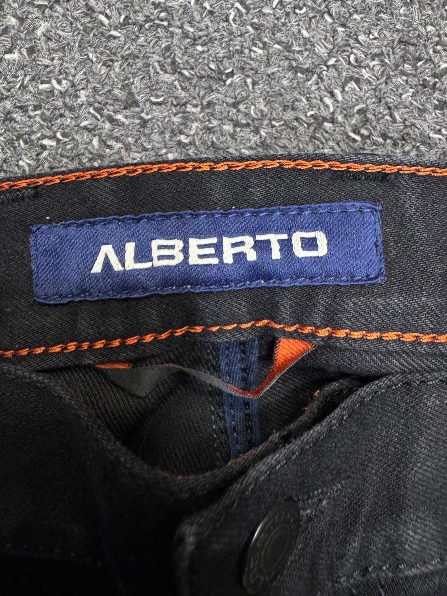 alberto Regular w32l32