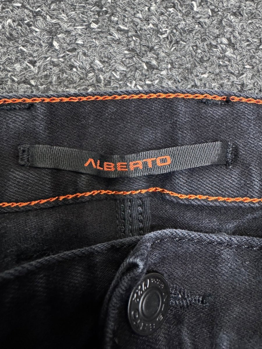 alberto Regular w38l30